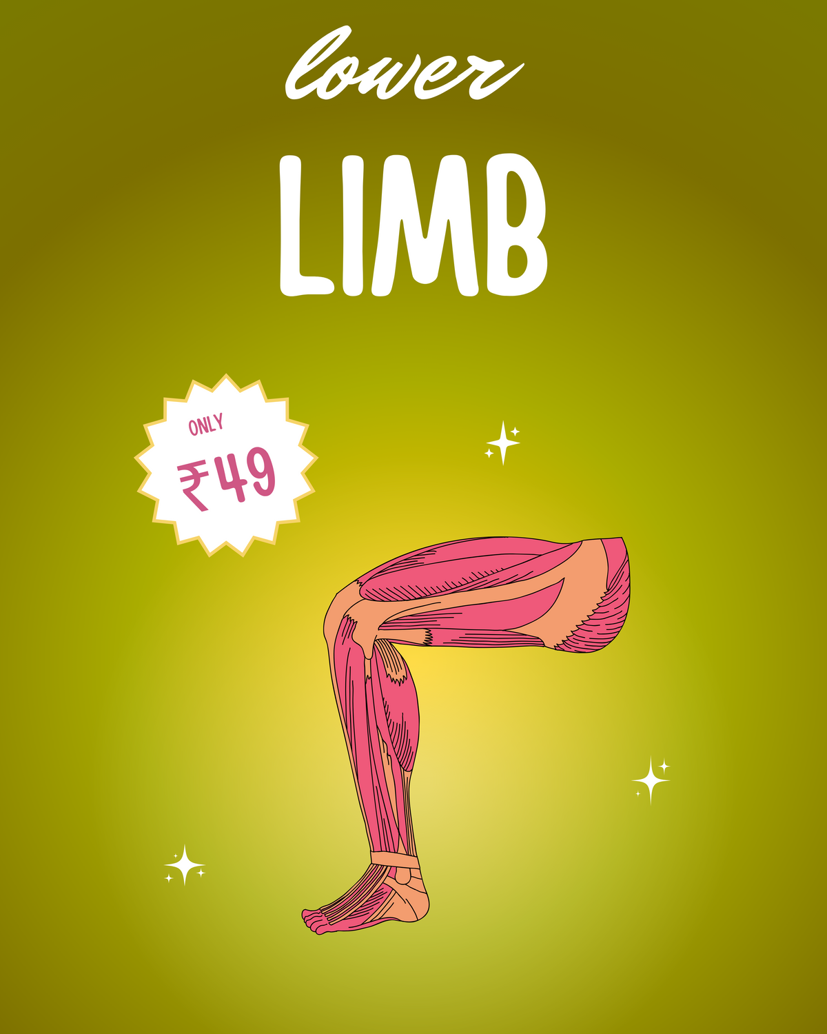 Lower limb