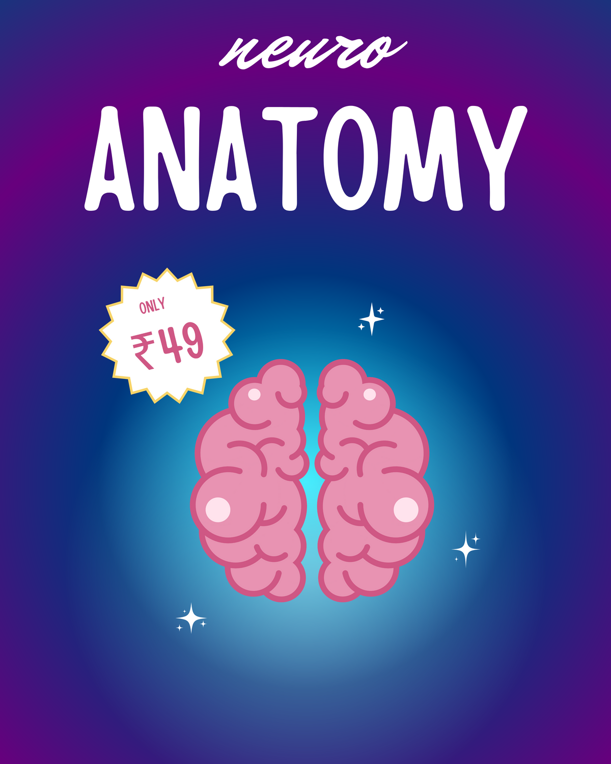 Neuroanatomy