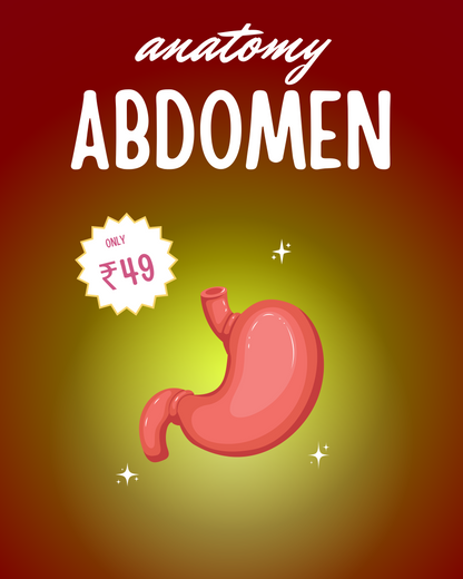 Abdomen