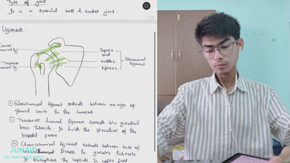 Upper limb