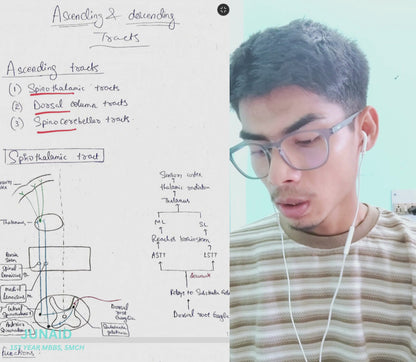 Neuroanatomy