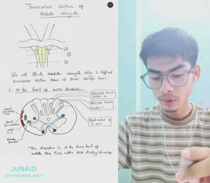 Neuroanatomy