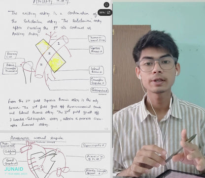 Upper limb