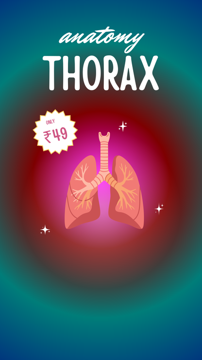 Thorax