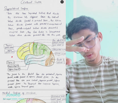 Neuroanatomy