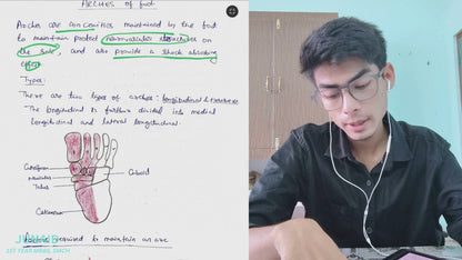 Lower limb