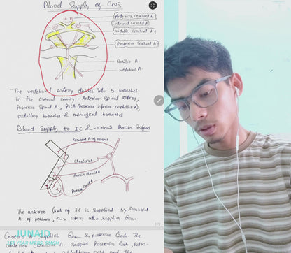 Neuroanatomy