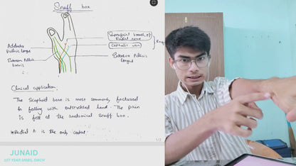 Upper limb