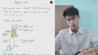 Upper limb