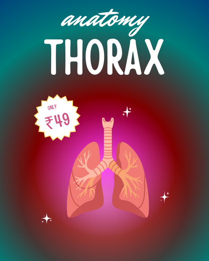 Thorax